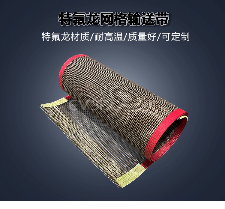 1750732306353051.jpg 鐵氟龍網格輸送帶.jpg